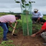 Protecting the Environment Through Community Action